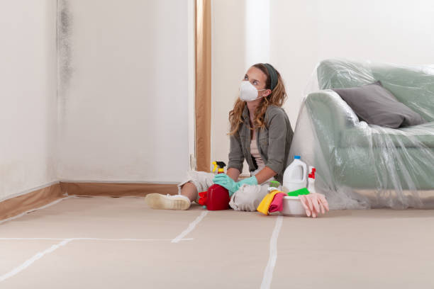 Reliable Mold Remediation contractor in Suitland, MD by Mold Remediation HQ